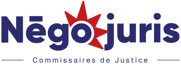 LAURENT-BELIN-ORTEGA